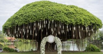 Grüne Hochzeit: Grün heiraten ist in! ( Foto: Shutterstock- Jaengpeng )