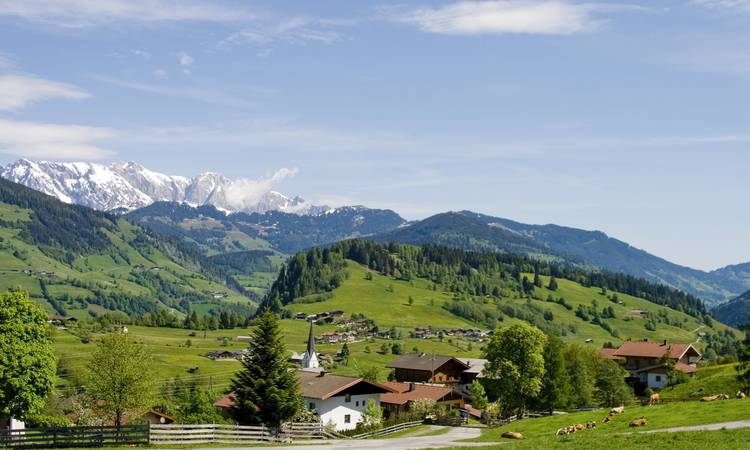 Holzhochzeit. (Foto: AdobeStock - 7930312 - Zirocool)