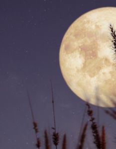 Der Mond: Einfluss auf Gezeiten, Meeresströmungen und Klima (Foto: AdobeStock -  jakkapan 345456870)