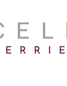 Modulares Clean Skincare System bekämpft Feuchtigkeitsmangel und oxidativen (Foto: CELLBERRIES Iris Kuhn)